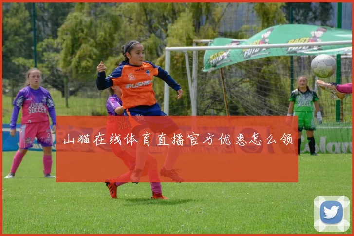 山猫在线体育直播官方优惠怎么领