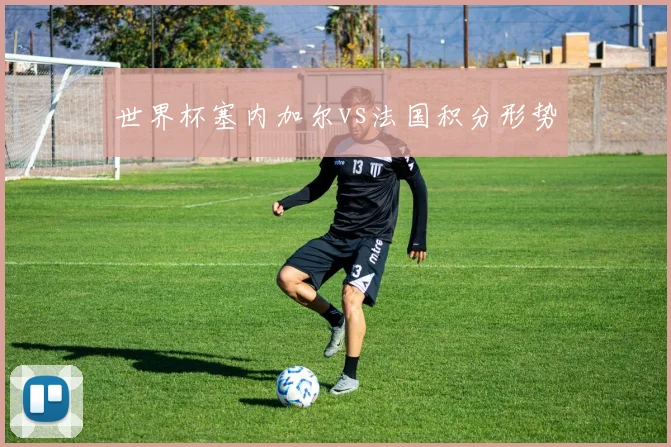 世界杯塞内加尔vs法国积分形势