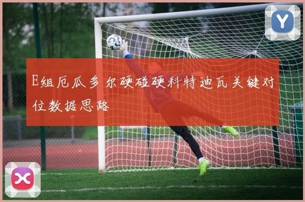 E组厄瓜多尔硬碰硬科特迪瓦关键对位数据思路