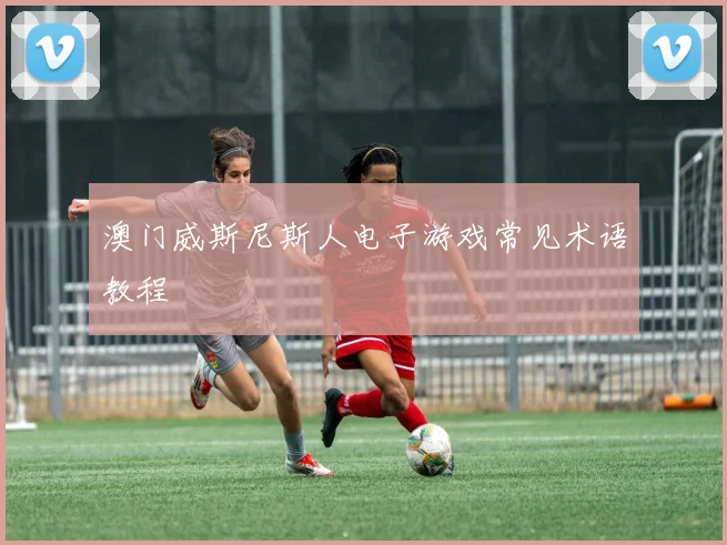 澳门威斯尼斯人电子游戏常见术语教程